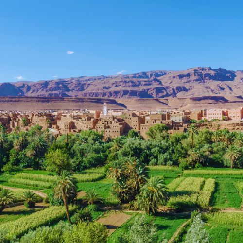 Excursi N De D As De Marrakech A Fez Por El Desierto Reserve Ahora